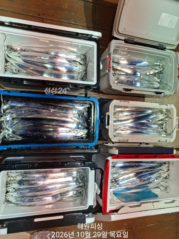 1000038949.jpg