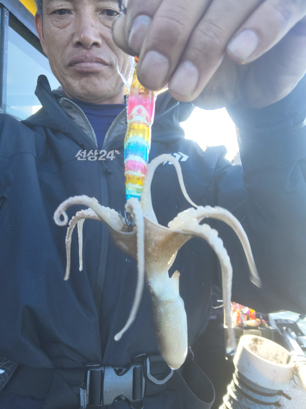 19290.jpg