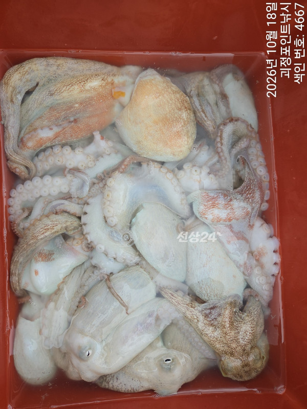 KakaoTalk_20261018_163900691_07.jpg