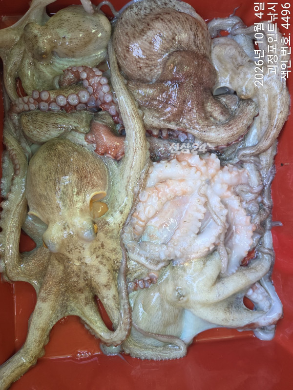 KakaoTalk_20261004_150024802_09.jpg