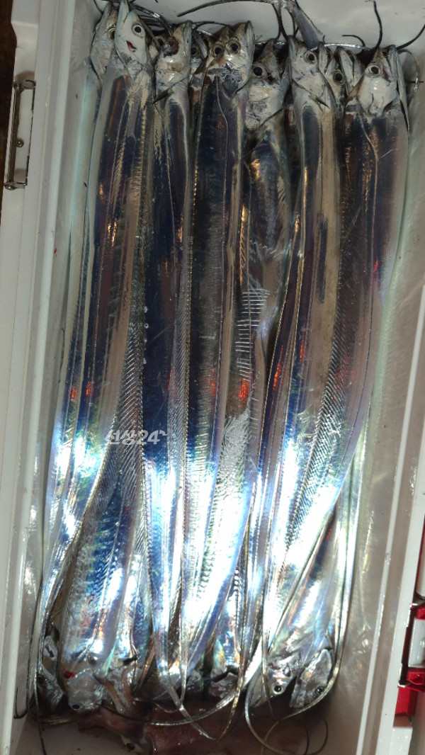 1004피싱_사진_20261020_9.jpg