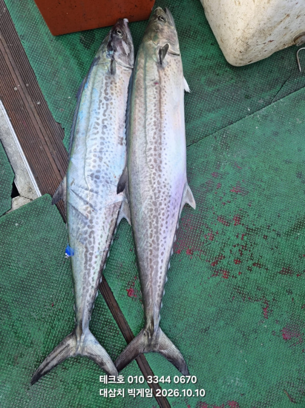 KakaoTalk_20261010_185344124_04.jpg