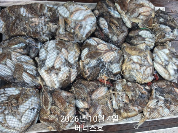 KakaoTalk_20261004_155733295_03.jpg