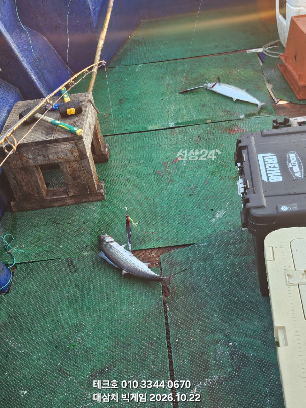 KakaoTalk_20261022_105503593_10.jpg