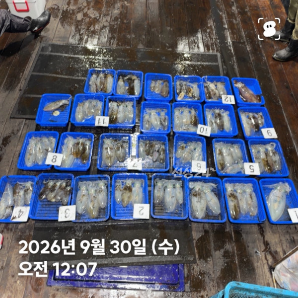 신신낚시 강구점 신신호_사진_20260930_1.jpg