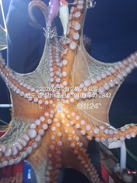 1000028843.jpg