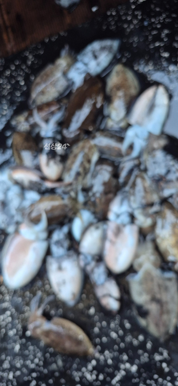 1790932034383.jpg