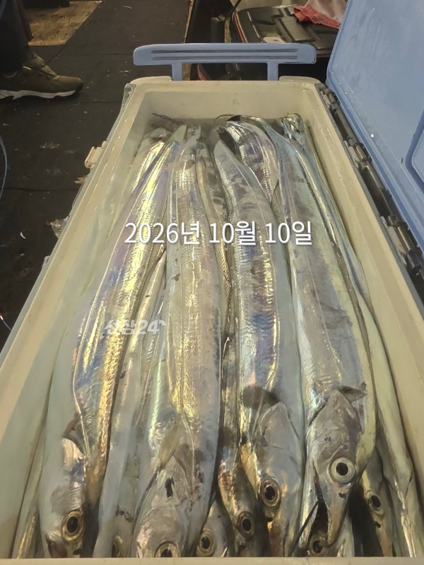 485AC579-C5DA-433D-BBC7-5D5B60557434.jpeg