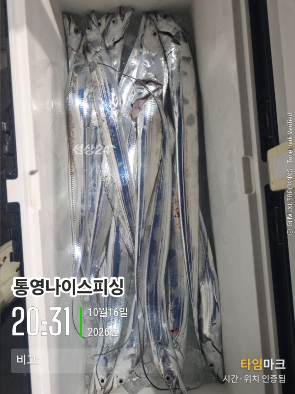 20261016_203126_글꼴-통영나이스피싱.jpg