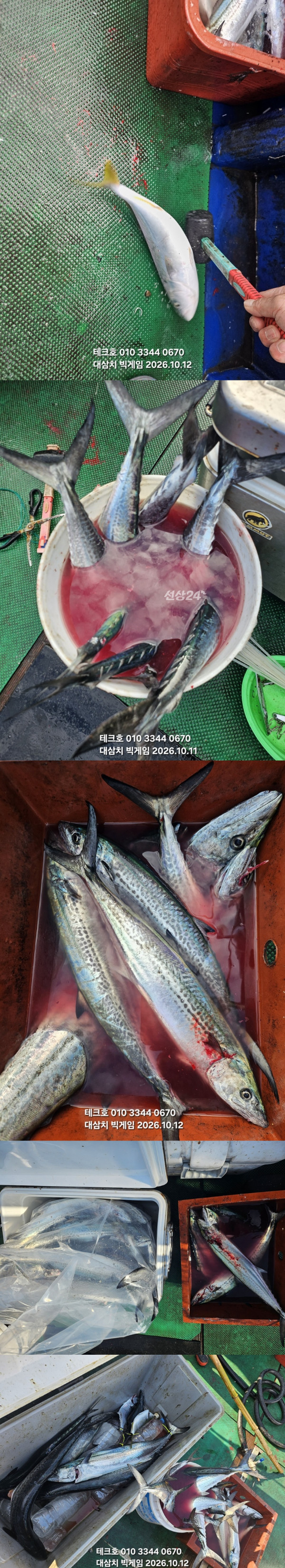 KakaoTalk_20261012_091039595_20-vert.jpg