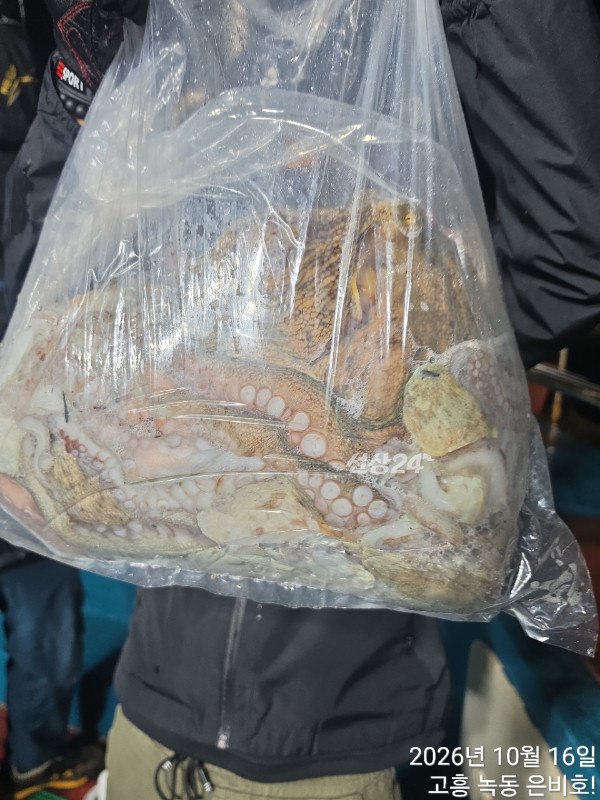고흥 녹동 은비호!(두족류,돌돔,외수질)_사진_20261017_11.jpg
