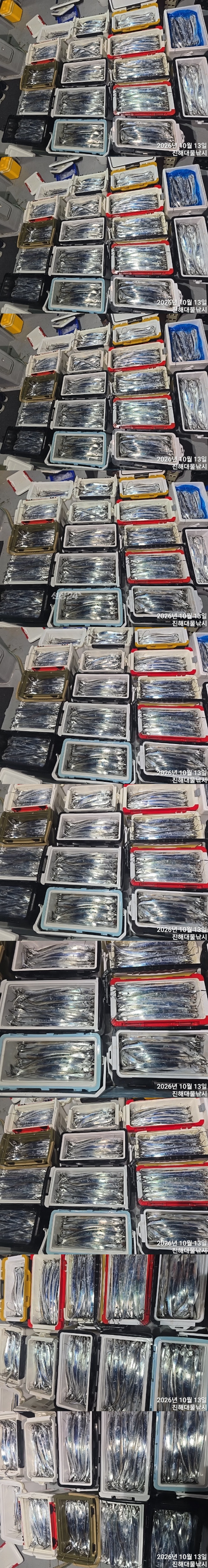 칼치1.jpg