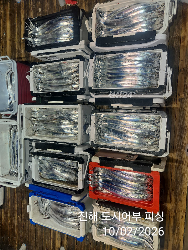 KakaoTalk_20261002_051645074_10.jpg
