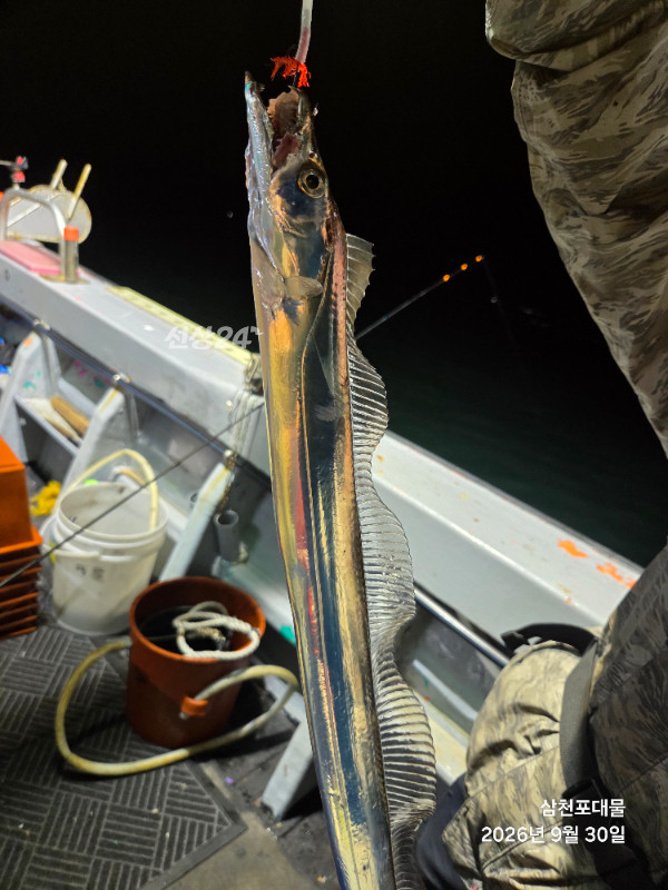 20260930_195538.jpg