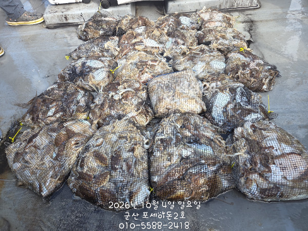 1000042752.jpg