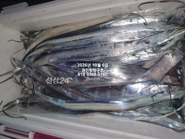 KakaoTalk_20261006_045621155_03.jpg