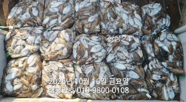 KakaoTalk_20261016_171239969_02.jpg