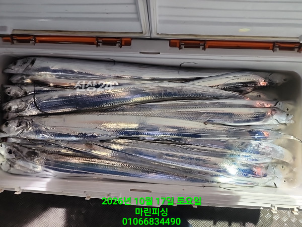 KakaoTalk_20261017_103946339_19.jpg