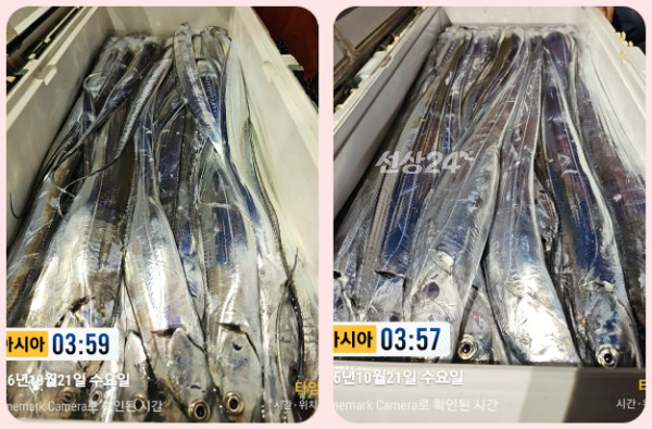 KakaoTalk_20261021_125458834_29-tile.jpg