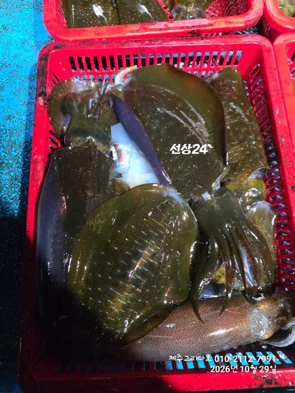 15902.jpg