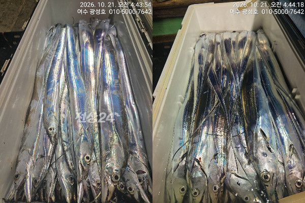 이미지.jpeg