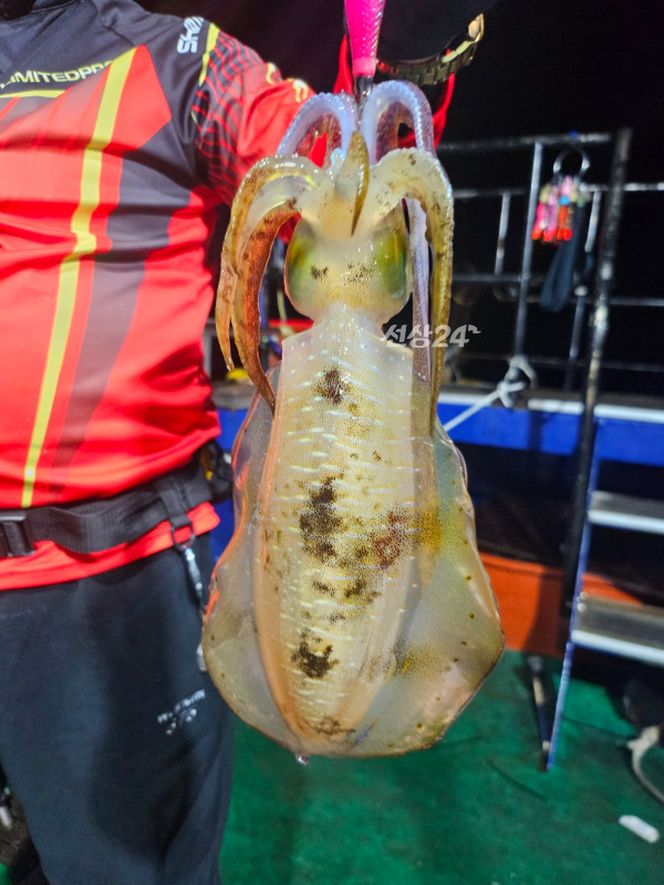 KakaoTalk_20261005_015613827_07.jpg