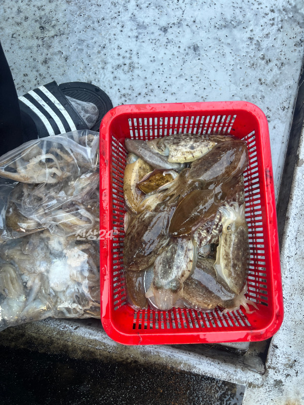KakaoTalk_20261016_174231077_11.jpg