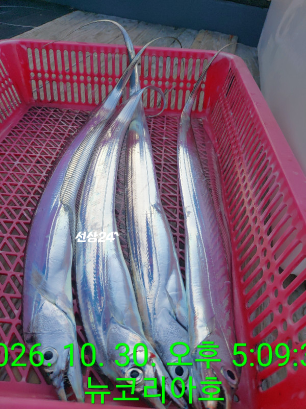 1000104423.jpg