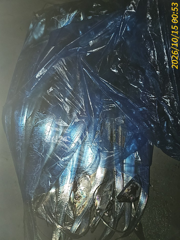 1000039608.jpg
