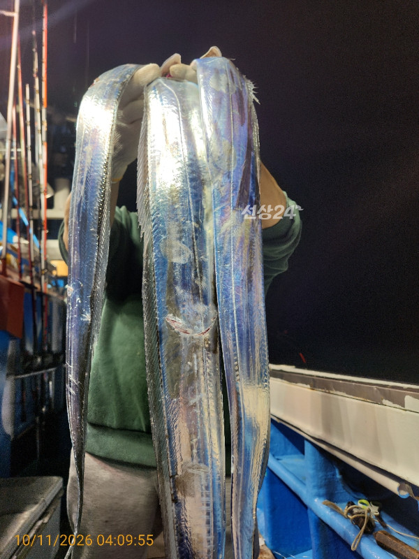 KakaoTalk_20261011_175257585_03.jpg