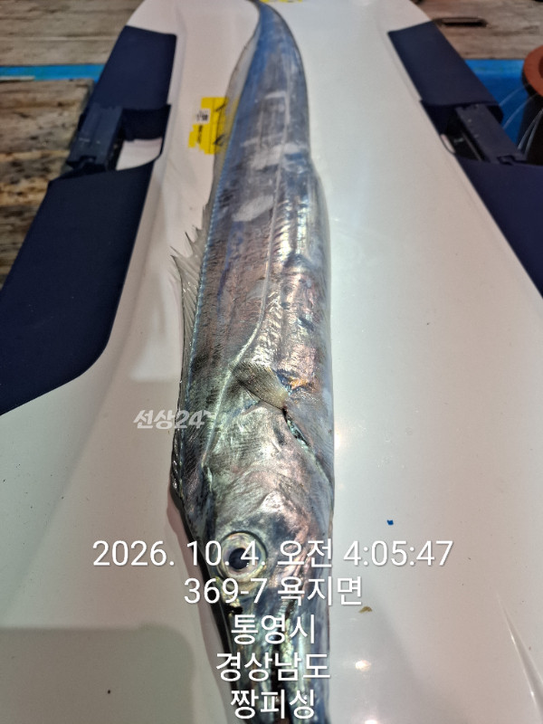 1000083801.jpg