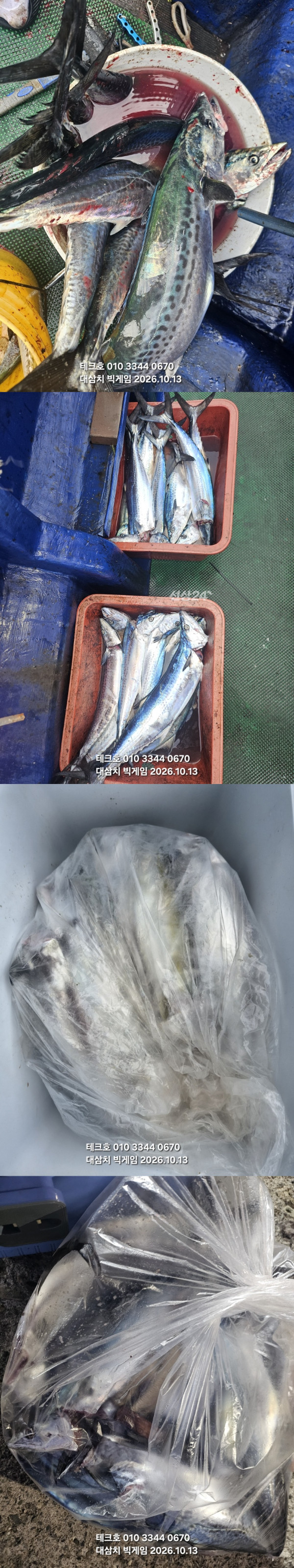 KakaoTalk_20261013_132757479_07-vert.jpg