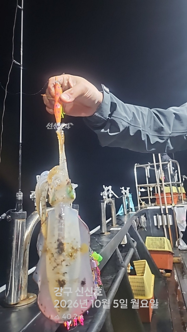 신신낚시 강구점 신신호_사진_20261006_8.jpg