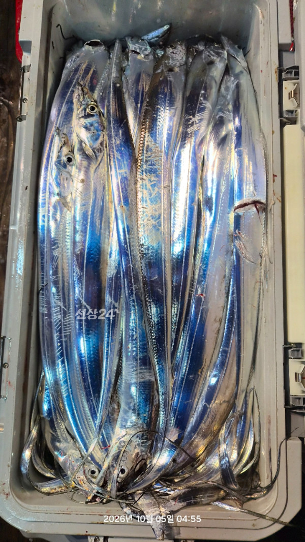 1004피싱_사진_20261005_16.jpg
