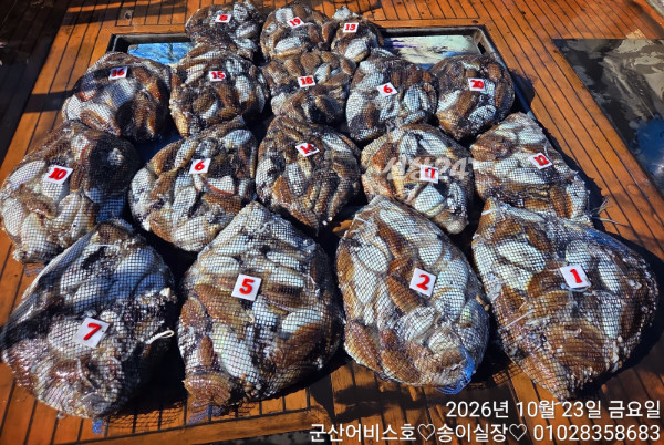1000032202.jpg