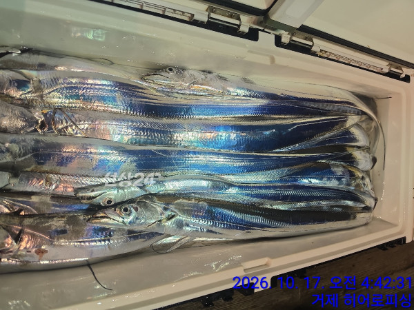 1150F27C-AEE1-4047-8D3D-0DE76C1CC8E0.jpeg