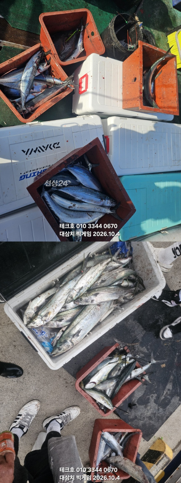 KakaoTalk_20261004_190917115_07-vert.jpg