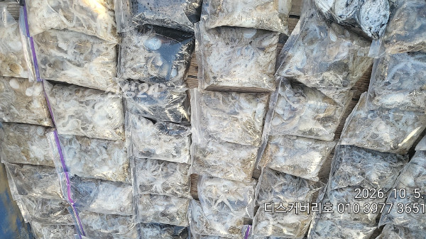 1000027578.jpg