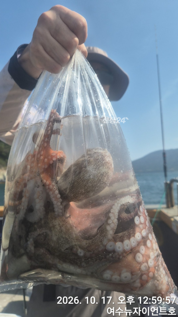 1792218422975-11.jpg