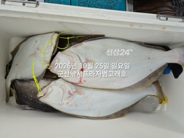 KakaoTalk_20261025_175508608.jpg