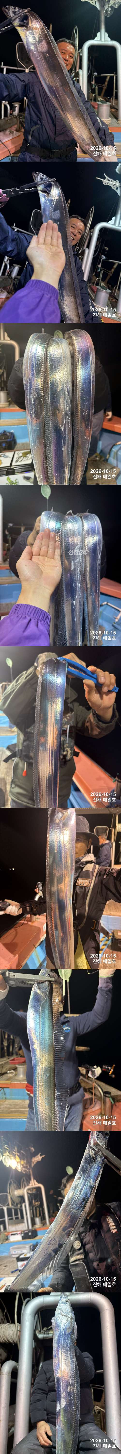 갈치1.jpg