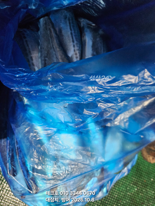 KakaoTalk_20261008_190936076_16.jpg