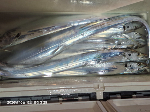KakaoTalk_20261012_052732795_11.jpg