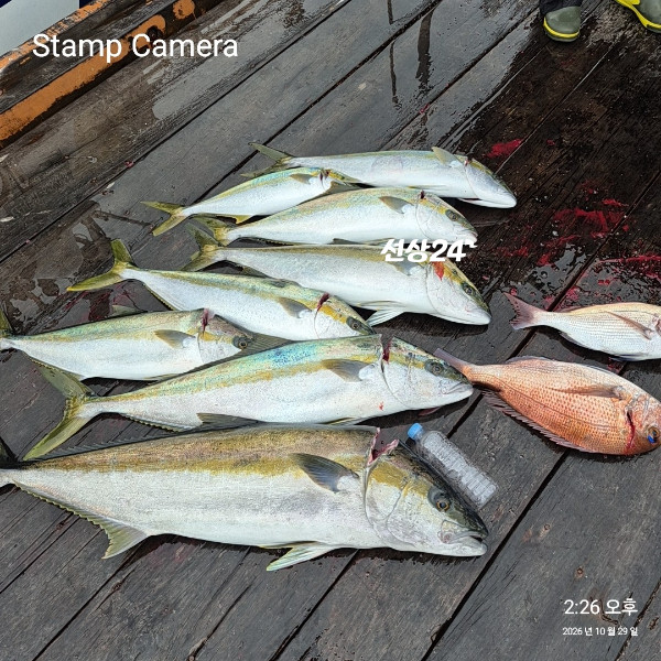 StampCamera20261029142653.jpg