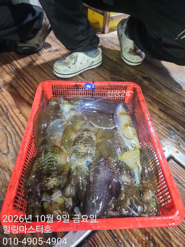 KakaoTalk_20261009_032626345_13.jpg