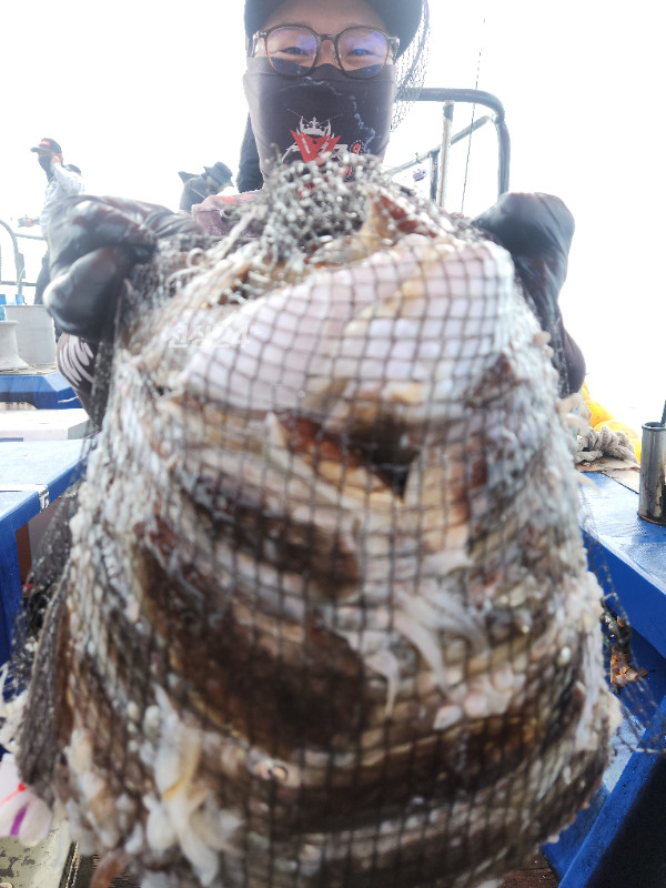 8364.jpg