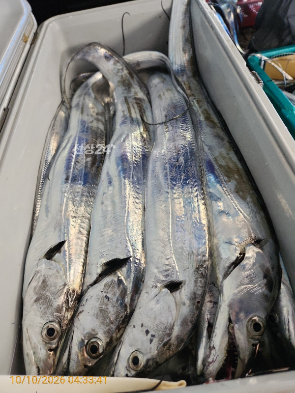 KakaoTalk_20261011_174938060_08.jpg