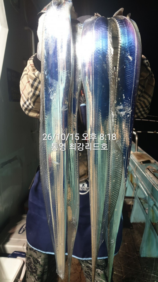 KakaoTalk_20261016_114521200_05.jpg