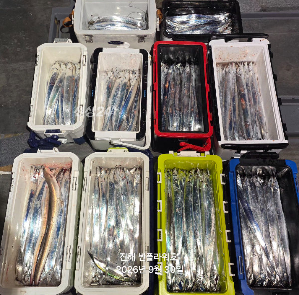83373.jpg