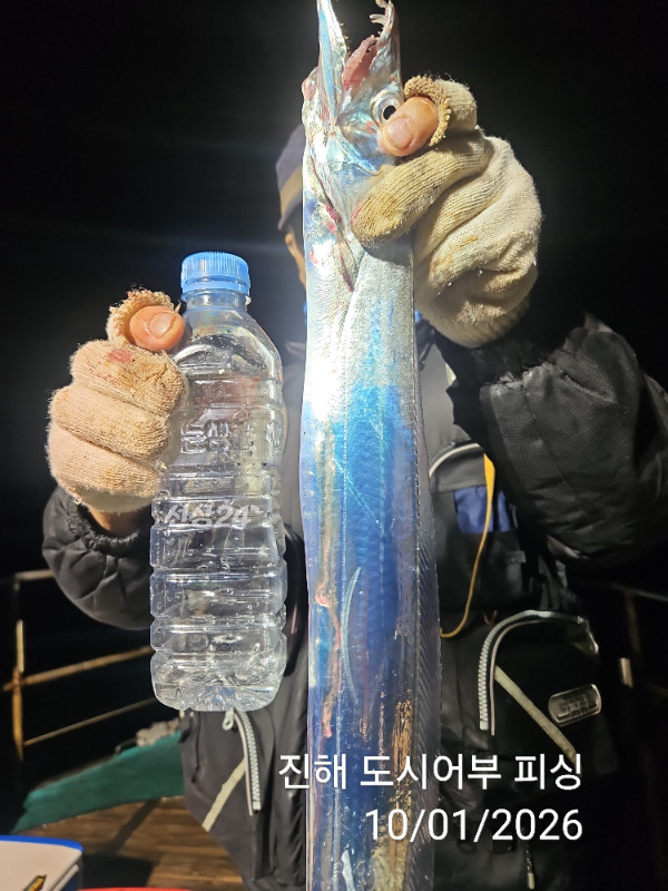 KakaoTalk_20261001_064438979_01.jpg